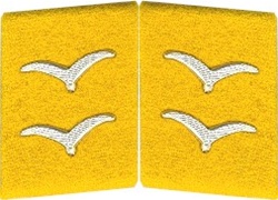 Luftwaffe EM Collar Tabs